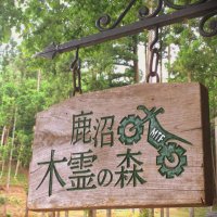 MotoTrekField 鹿沼木霊の森 (@mototrekfield) 's Twitter Profile