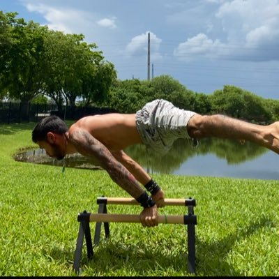 Merging Calisthenics🤸🏻 with Alkaline Electric Diet⚡️ for Optimal Results. Yoga and Meditation🧘🏻♂️ for a Balanced Mind/Body 🙏🏼 Best version of yourself