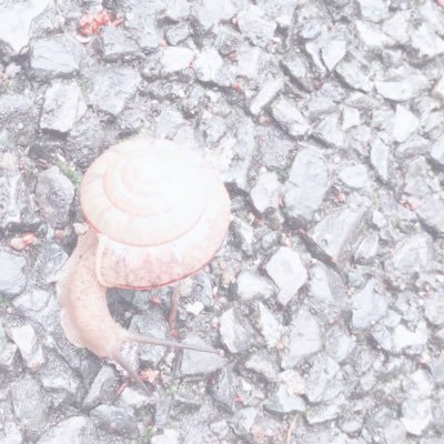 shoto_kajiwara's profile picture. 暑い