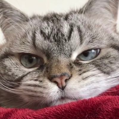 0429_date's profile picture. 仙台二→北大医保