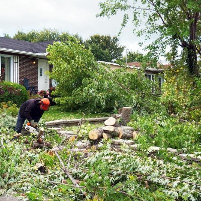 Mr Tree Service in Southbury, CT 06488 is the most affordable way to get your tree work done.  We do tree removal & stump removal!  Call us today!