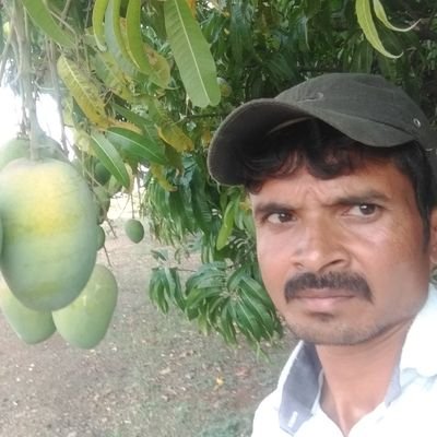 Kaila sh Bhutambare Sakur sangamner ahemadnagar