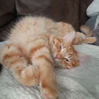 uh_its_me_again (@uh_its_me_again) 's Twitter Profile