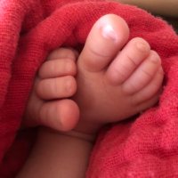 Pro Bodily Autonomy Stinky Baby Toes 🟧(@mother_runner5) 's Twitter Profile Photo