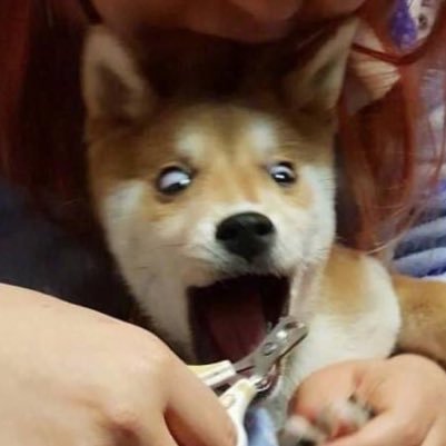 fillionman's profile picture. Casual Life in a cruel world