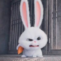 ぼくすんあ@低浮上 (@dyjs_rabichuu) Twitter profile photo