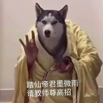 Axi昔坠坠さんのプロフィール画像