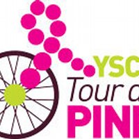 YSCTdP (@ysctdp) 's Twitter Profile