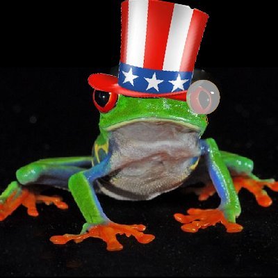 Happy little tree frog who makes memes and retweets an ungodly amount of tweets #USAFOREVER #AMERICA #ISTANDWITHTEXAS #SayHerName