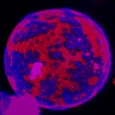 まつっんさんのプロフィール画像