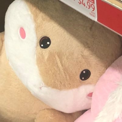 BENJI, go to @openspeciesさんのプロフィール画像