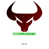 Animals Lifestyle TV(@AnimalsLifesty1) 's Twitter Profile Photo