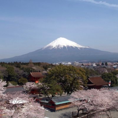 alXeoqOp5Cf6s9I's profile picture. 愛知県全域で打ち子さんを募集しております！