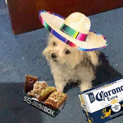 LilP4co's profile picture. 