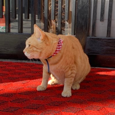 ___iamai__'s profile picture. 