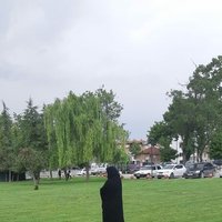 Buket yaşaroglu (@ssahipleri) Twitter profile photo