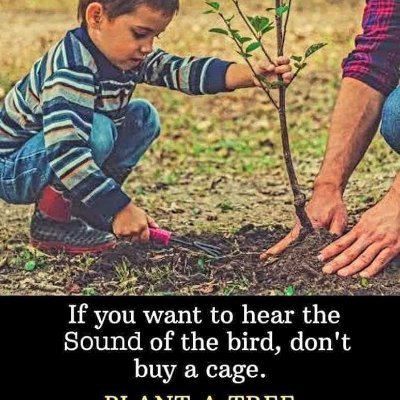 AshimSanyal6's profile picture. 