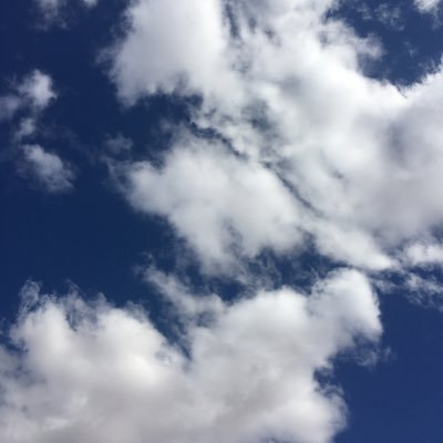 Hona73395637's profile picture.