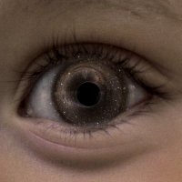 territorio gravedad (@territoriograv) 's Twitter Profile