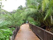 gedda11's profile picture. Literary translator (from English into Polish). Swimmer (amateur). Opera fan. Big fan of tennis.