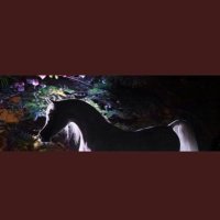 𓂆 محــمود (@mahmood96596) Twitter profile photo