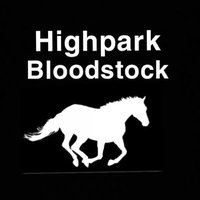 Highpark Bloodstock (@highpark12) 's Twitter Profile