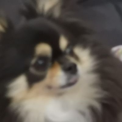 reinya2aynier's profile picture. 