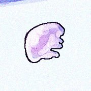 sʜᴇᴡさんのプロフィール画像