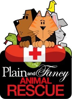 PlainAndFancyPA's profile picture. Help Us Help Them! Rescuing homeless and unloved animals, and finding them new forever homes. Also low cost spay/neuter clinics. We need your help!