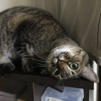 ysk (@bhctj) Twitter profile photo