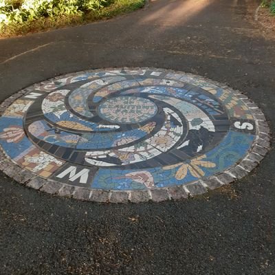 marymacdonaldb1's profile picture. 