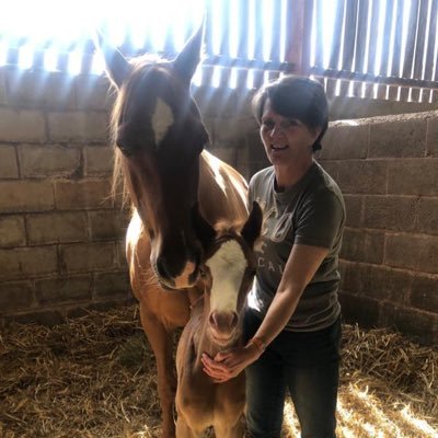 DVSA Operational Delivery Manager. Horse racing lover & breeder of Pure bred crabbet Arabians .