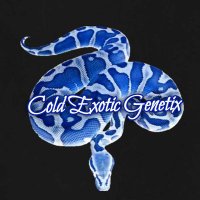 Cold Exotic Genetix(@CegReptiles) 's Twitter Profile Photo