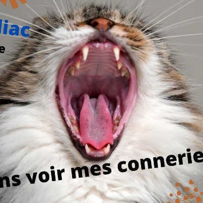 😍Bonjour à toutes et tous
https://t.co/oR7MTid2UX
# Compilation vidéo animaux amusante ( dog zodiac )
Si vous aimez aussi les animaux comme moi, alors veuillez