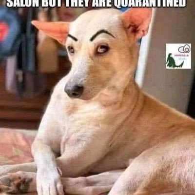 ShoeShoe24's profile picture. You're all entitled to my opinions