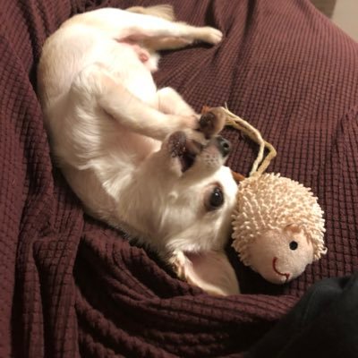 po3333156's profile picture. 北海道の守護神