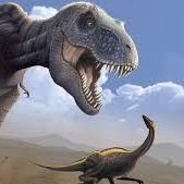 KaiJie73097227's profile picture. 你好