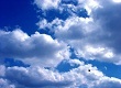 KidsManners's profile picture. We believe that teaching kids manners today, creates a brighter future for them tomorrow.