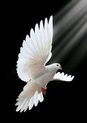 BettyVeena's profile picture. Happiness is Music...🎶🎶