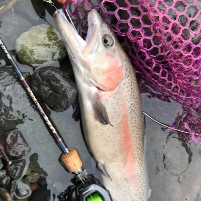 キャンプ🏕釣り🎣アウトドア🏔が大好きな垢です。 DDのスーパーライトジャングルフルモジュラーとヘネシーハンモックジャングルサファリXXL zip乗りです。 テケトーに呟きます。