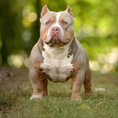 da_ryant2's profile picture. 