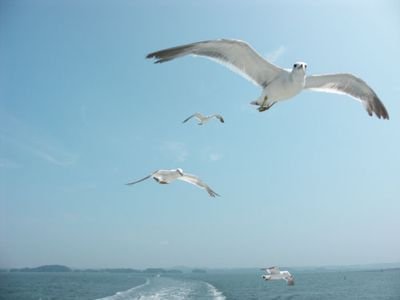 108ma30's profile picture. ゲーム垢 ✧ シェアと攻略ROM、ときたまメモ用