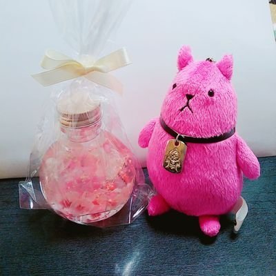 *初瀬 於荼*さんのプロフィール画像
