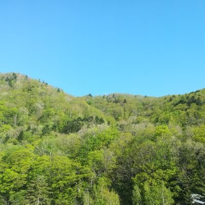 つきさんのプロフィール画像