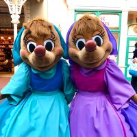 どんぐり (@cdsp_me) Twitter profile photo