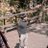 irsyadsae's profile image