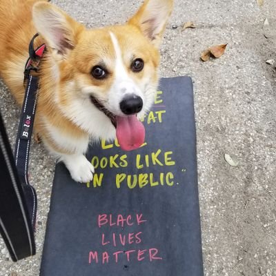 Fiercely political wolfer with strong opinion about butts and walks.