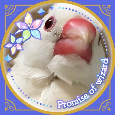 イクミ米さんのプロフィール画像
