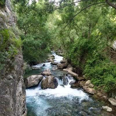 simplel81618024's profile picture. Ojiplática