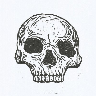 flobloggs's profile picture. 🌱